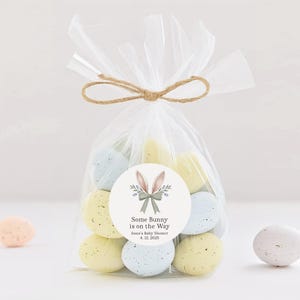 May include: A clear cellophane bag filled with pastel blue and yellow speckled Easter eggs tied with twine. A round sticker with a bunny rabbit illustration and the text "Some Bunny is on the Way" is attached to the bag. The text "Anna's Baby Shower 4.12.2025" is also on the sticker.