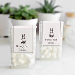 Easter Bunny Bait Mint Labels, Happy Easter Gifts for Teens Kids, Easter Class Treats, Easter Party Favors Labels, Easter Basket Stuffers