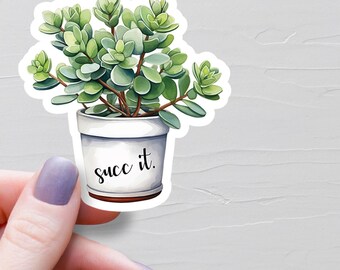Sticker Succ it, Stickers succulentes en vinyle, Stickers rigolos, vie végétale, Sticker bouteille d'eau, Stickers ordinateur portable, cadeau pour les amoureux des plantes - S528