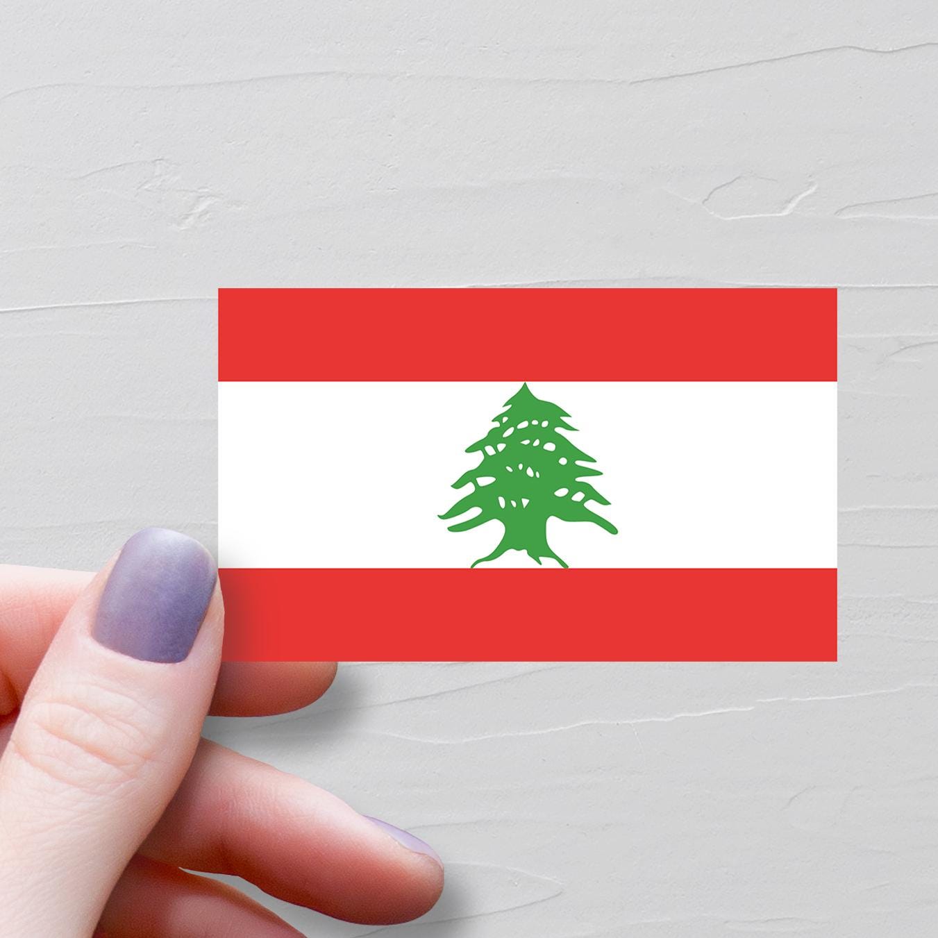 Lebanon Flag Sticker, Vinyl Travel Stickers, Lebanese Stickers, World Flags, Water Bottle Sticker, Laptop Decals, Luggage Sticker - F147