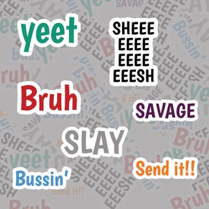 Teen Slang Sticker Pack of 7, Vinyl Stickers, Gen Z Quotes, Gen Alpha Sayings, Christmas Stocking Stuffers for Teens Boys Girls, Teen Decals