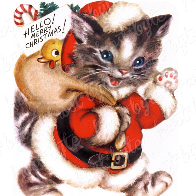 santa cat