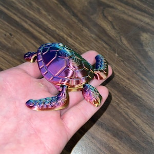 Articulated Sea Turtle