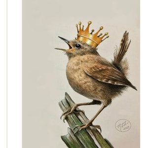 The Wren Queen, Colored Pencil and Ink Print, Bird Art, SFA, 5&quot; x  7&quot; by Melody Lea Lamb