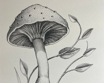 Original Pen and Ink, Mushroom Art, Small Drawing by Melody Lea Lamb