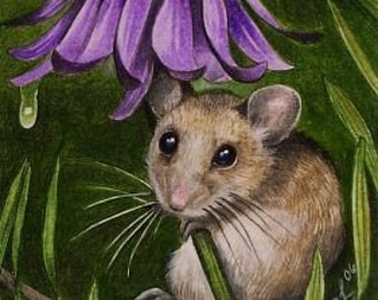 Mouse and Cone-flower Art by  Melody Lea Lamb ACEO Print