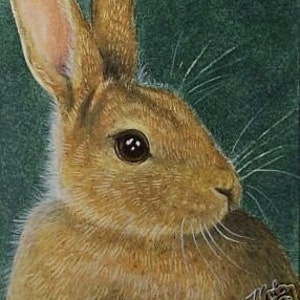 Bunny Rabbit Art by Melody Lea Lamb ACEO Print