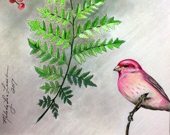 Purple Finch Botanical Painting Giclee Print By Melody Lea Lamb 8" x 10"