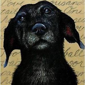 Labrador cane Art tutti i profitti alla carità ACEO melodia Lea agnello
