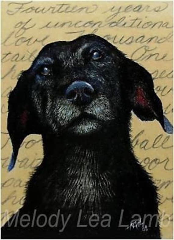 Labrador charity sales