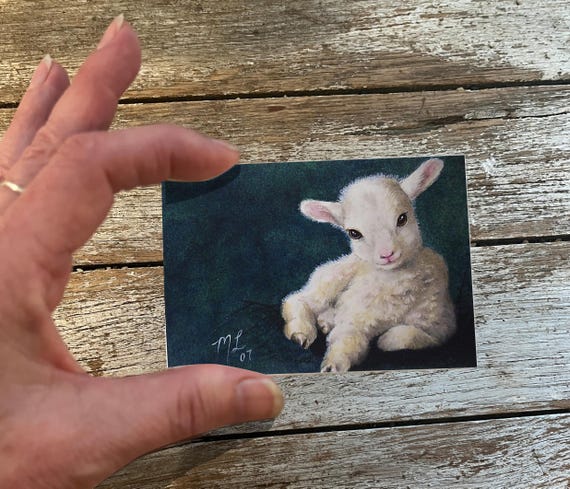 Baby Lamb Animal Art Melody Lea Lamb ACEO Print