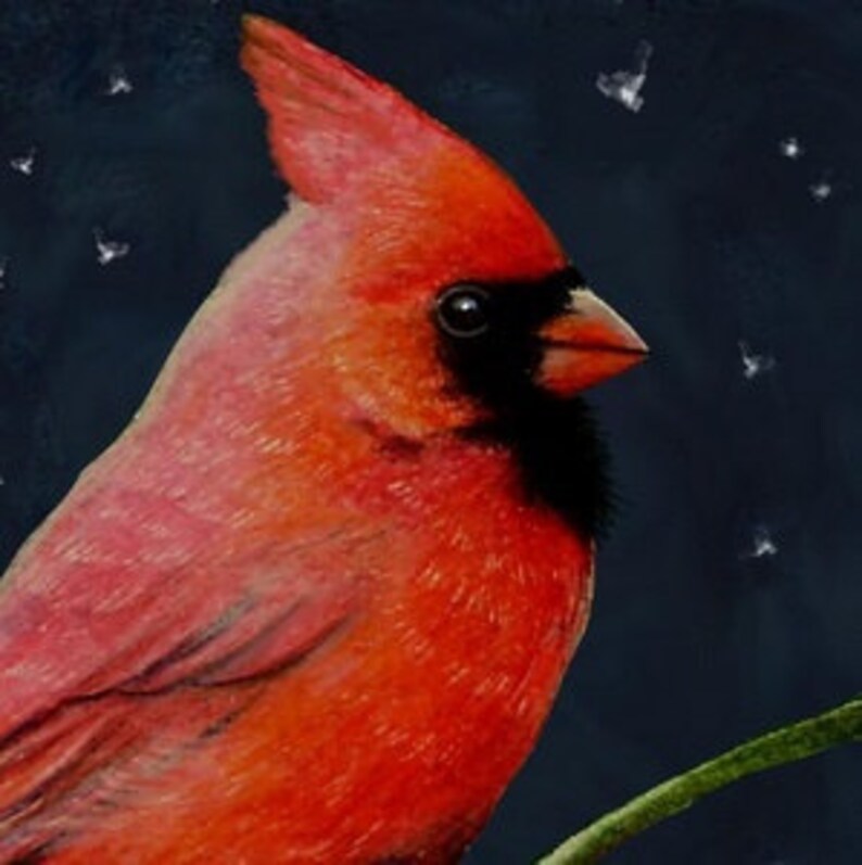 Set Of Four Cardinal Bird Art Cards by Melody Lea Lamb image 1