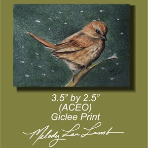Arte in miniatura di marrone Sparrow Uccello da Melody Lea agnello ACEO Print