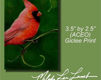 Red Cardinal Bird Art Melody Lea Lamb ACEO Giclee Print