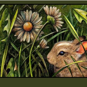 Baby Bunny Cards from Original Art by Melody Lea Lamb, Set of Four