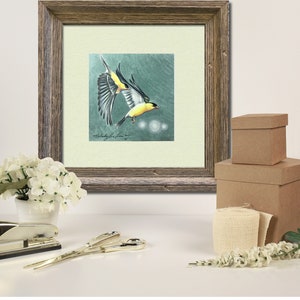Framed Original Art, American Goldfinch Five, Bird, Colored Pencil, 12 x 12 By Melody Lea Lamb image 5