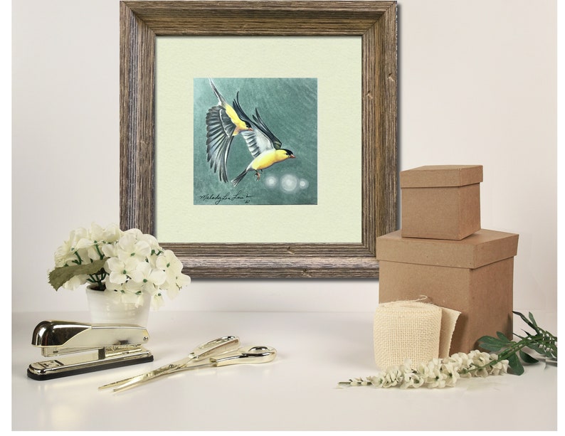 Framed Original Art, American Goldfinch Five, Bird, Colored Pencil, 12 x 12 By Melody Lea Lamb image 5