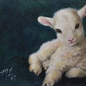 May include: A white lamb with a fluffy coat is lying down on a dark green background. The lamb has its head turned to the side and is looking at the viewer. The lamb's eyes are dark and its nose is pink. The lamb's ears are floppy and its legs are curled up under its body.