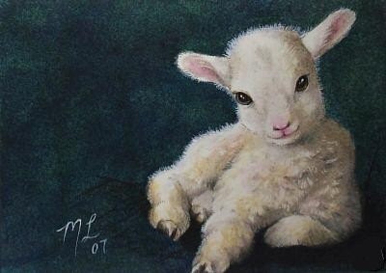 May include: A white lamb with a fluffy coat is lying down on a dark green background. The lamb has its head turned to the side and is looking at the viewer. The lamb's eyes are dark and its nose is pink. The lamb's ears are floppy and its legs are curled up under its body.