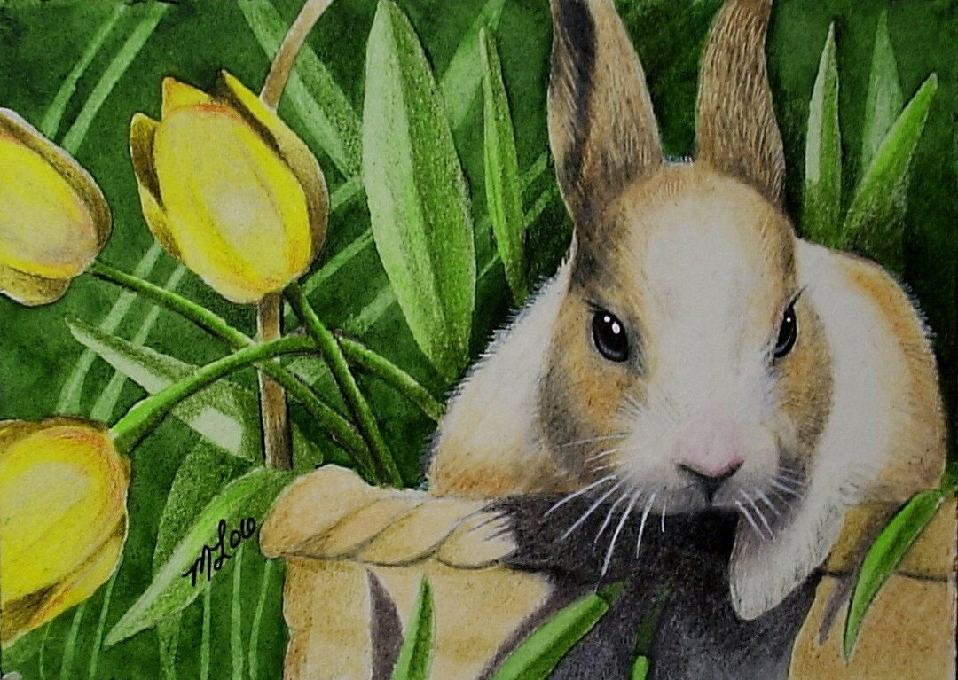 Bunny Rabbit Miniature Art by Melody Lea Lamb ACEO Miniature - Etsy