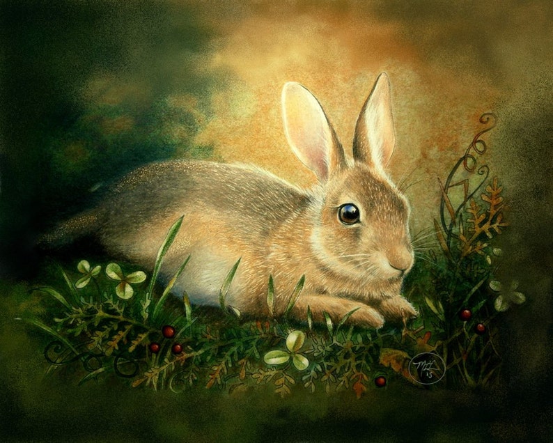 Cottontail Rabbit Animal Art 8 x 10 Print By | Etsy