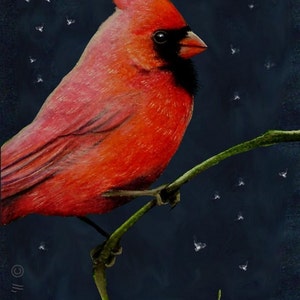 Set Of Four Cardinal Bird Art Cards by Melody Lea Lamb image 3