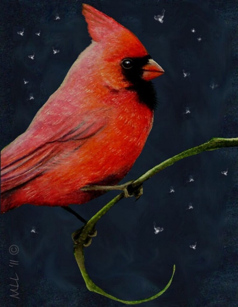 Set Of Four Cardinal Bird Art Cards by Melody Lea Lamb image 3