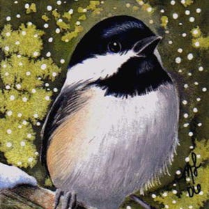 Impression d'archives ACEO à partir d'oeuvres d'art originales de Melody Lea Lamb, oiseau mésange