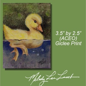 Anatroccolo uccello arte in miniatura da Melody Lea agnello ACEO Print