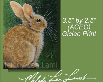 Bunny Rabbit Miniature Art by Melody Lea Lamb ACEO Print