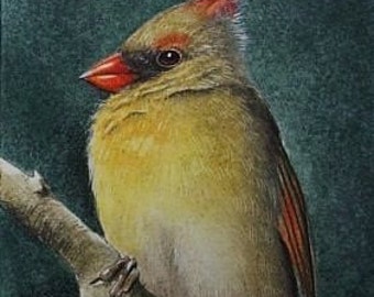 Cardinal Bird Miniature Art by Melody Lea Lamb ACEO Prin