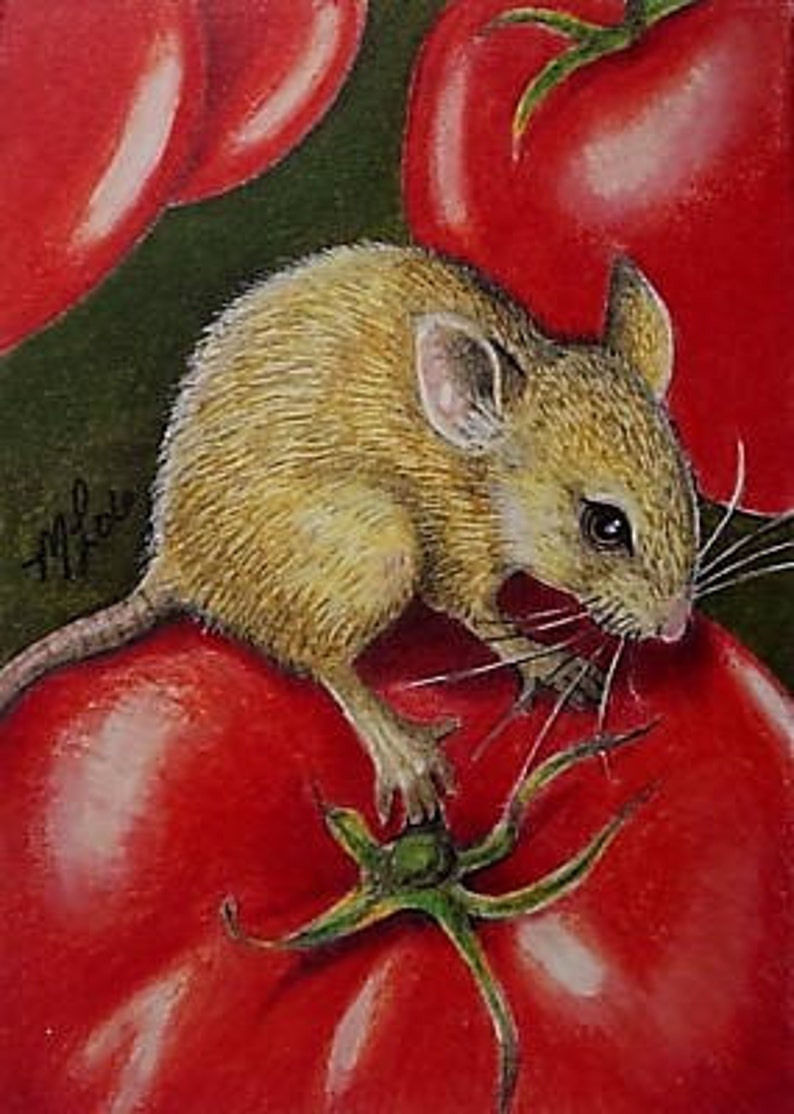 Жадный хомяк. Мыши едят помидоры. Мыши едят помидоры. Мышь с едой. Мыши едят помидоры.