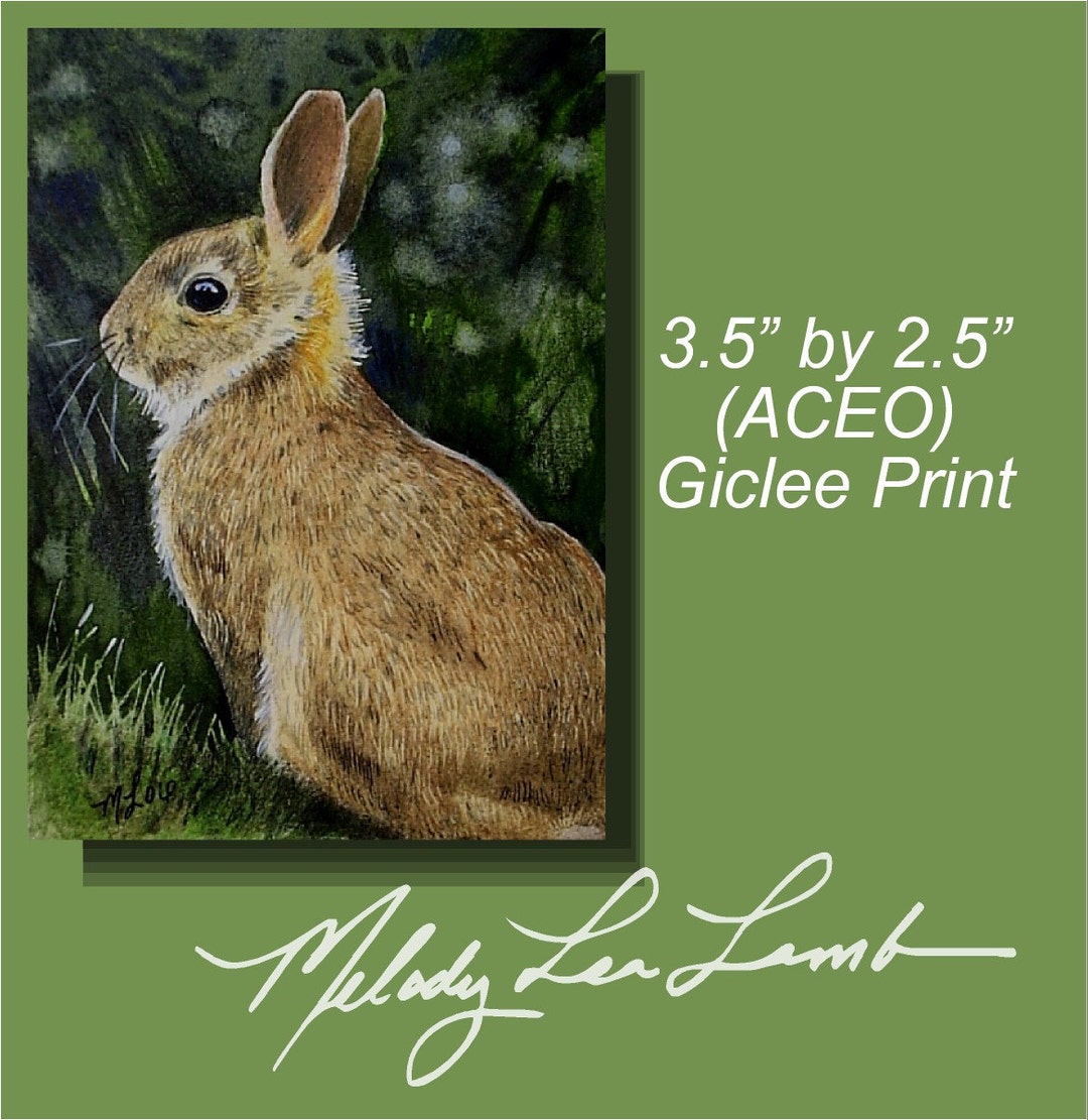 Woodland Bunny Rabbit Art Melody Lea Lamb ACEO Print - Etsy