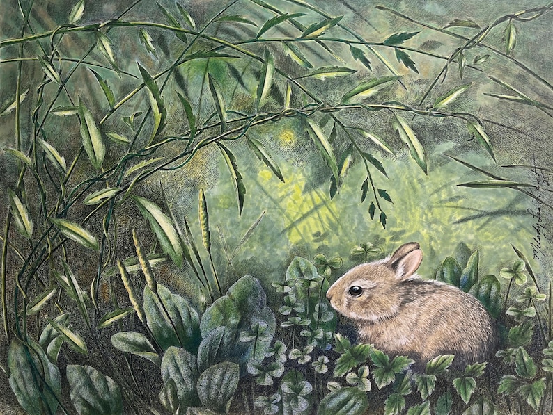Bunny in Woods Painting, Original Colored Pencil and Ink Art - Etsy