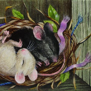 私のオリジナル絵画「巣の中のネズミ」のジクレー版画。本の挿絵。メロディ・リー・ラム作 ACEO
