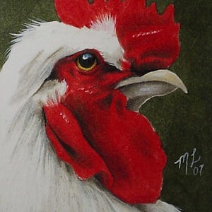 Rooster Art, pittura in miniatura, ACEO, originale di Melody Lea Lamb