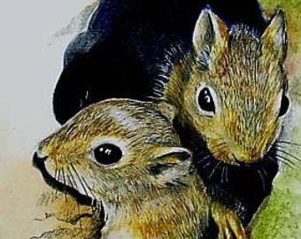 Baby Squirrels Wildlife Art Melody Lea Lamb ACEO Print