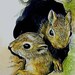 see more listings in the Mini Art: Other Critters section