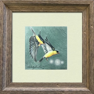 Framed Original Art, American Goldfinch Five, Bird, Colored Pencil, 12 x 12 By Melody Lea Lamb image 2