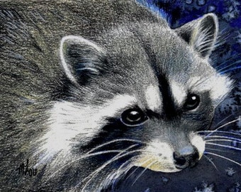 Raccoon Wildlife Art by Melody Lea Lamb ACEO Print