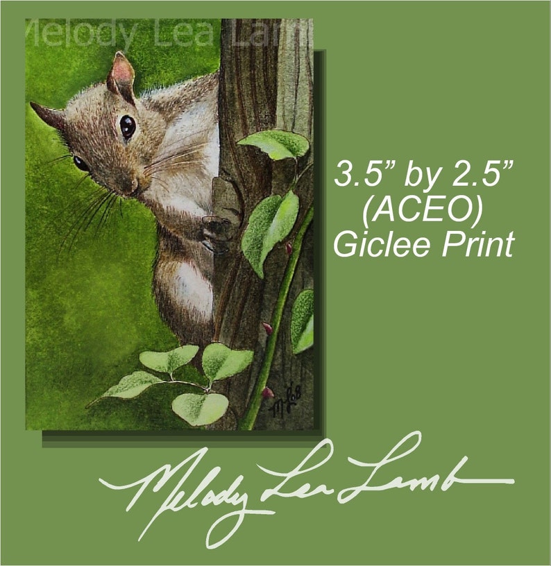 Spring Squirrel Miniature Art by Melody Lea Lamb ACEO Print image 1