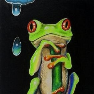 Red Eyed Tree Frog Miniature Art by Melody Lea Lamb ACEO Print