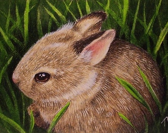 Bunny Rabbit Miniature Art by Melody Lea Lamb ACEO Miniature Print