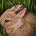 see more listings in the Miniature Art: Rabbits  section