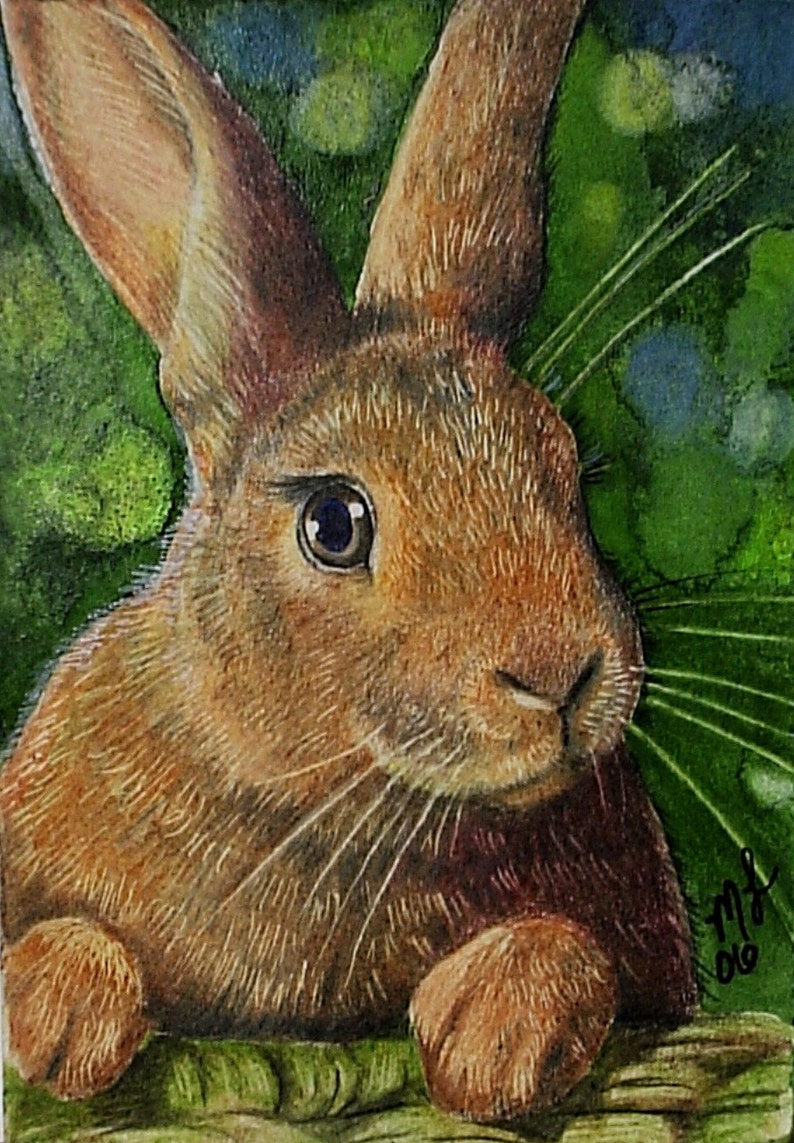 Cute Bunny Rabbit Miniature Art by Melody Lea Lamb ACEO Print Etsy