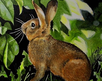 Cottontail Bunny Rabbit in a Garden Melody Lea Lamb ACEO Print