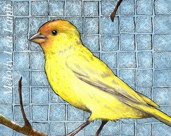 Saffron Finch Bird, Yellow, Orange, Giclee Print By Melody Lea Lamb 5 x 5"