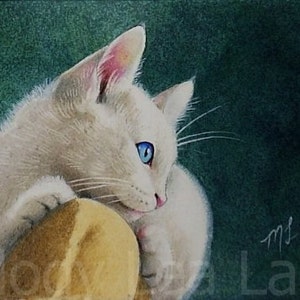 Witte kat Blue Eyes Art melodie Lea lam ACEO Giclee Print