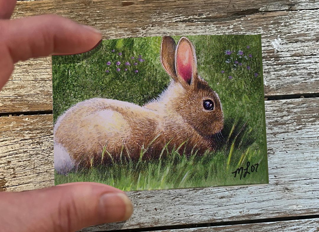 Bunny Rabbit Art Print, Miniature ACEO Painting - Etsy