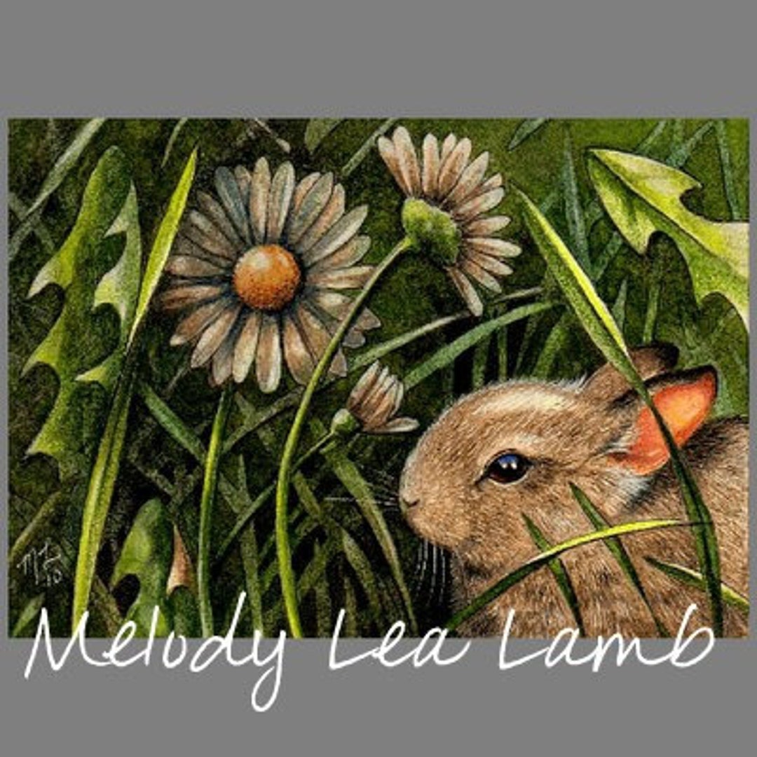 Bunny Rabbit Miniature Art by Melody Lea Lamb ACEO Print - Etsy